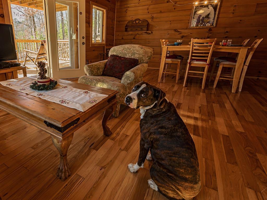 Log Cabin In Smoky Mountains Otel Sevierville Dış mekan fotoğraf